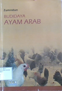 Budidaya Ayam Arab