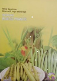 Budidaya Buncis Prancis
