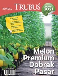 Melon Premium Dobrak Pasar