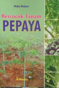 Bercocok Tanam Pepaya